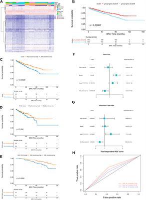 RNA modification writers pattern in relation to tumor microenvironment and prognosis in prostate cancer